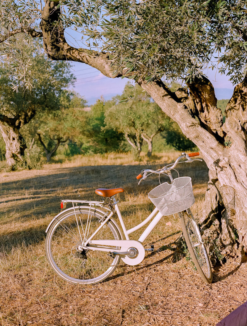 bicicleta boda rústica barcelona